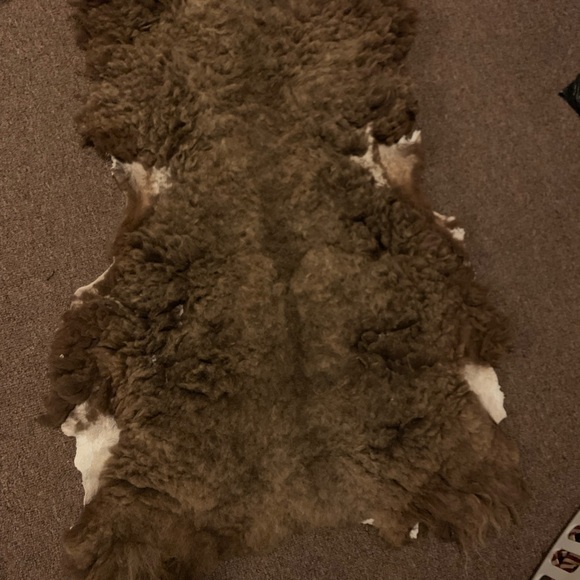 100% Shetland Sheepskin Pelt Dog Bed - Picture 3 of 3